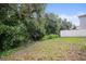 View of backyard featuring green space and shrubbery at 1880 Fuller Dr, Clearwater, FL 33755