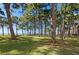 Backyard with trees, grass and water views at 2700 Bayshore Blvd # 11405, Dunedin, FL 34698
