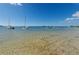 Beautiful waterfront view featuring anchored sailboats under a clear blue sky with a clear sandy shoreline at 2700 Bayshore Blvd # 11405, Dunedin, FL 34698