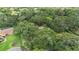 Aerial shot showcasing a home surrounded by lush, mature trees for privacy at 2911 Pemberton Creek Dr, Seffner, FL 33584