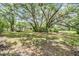Expansive backyard featuring mature trees providing ample shade and privacy at 2911 Pemberton Creek Dr, Seffner, FL 33584