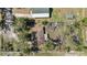 Aerial view of the property and backyard showing building roofline and mature trees at 4221 Burrows Rd, Zephyrhills, FL 33542