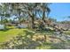 Lawn and mature trees in backyard. Building partially obscured by the trees at 4221 Burrows Rd, Zephyrhills, FL 33542