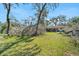 Back of house with screened in patio and mature trees in the backyard at 4221 Burrows Rd, Zephyrhills, FL 33542