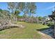 View of backyard with mature trees and shrubs; lawn in foreground at 4221 Burrows Rd, Zephyrhills, FL 33542