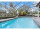 A pool with waterfall feature and lush landscaping, enclosed by a screen at 4641 John Moore Rd, Brandon, FL 33511