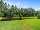 Beautiful backyard view of lush landscaping and pond at 6127 Cezanne Ave, Lutz, FL 33558