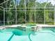 Gorgeous screened-in pool and spa surrounded by lush landscaping at 6127 Cezanne Ave, Lutz, FL 33558