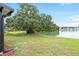 Lush backyard with a large tree and tranquil lake view, offering a serene outdoor oasis at 9721 Fredericksburg Rd, Tampa, FL 33635
