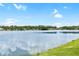 Scenic lake view showcasing the waterfront homes along the shoreline under a blue sky at 9721 Fredericksburg Rd, Tampa, FL 33635