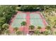 Community tennis courts surrounded by mature palm trees and well-maintained landscaping at 9721 Fredericksburg Rd, Tampa, FL 33635
