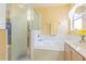 Bright bathroom featuring a bathtub with shower, large mirror, and a vanity with a sink at 10801 Collar Dr, San Antonio, FL 33576