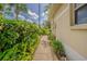 Lush landscaping lines a peaceful walkway beside this lovely home at 10801 Collar Dr, San Antonio, FL 33576
