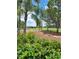 Idyllic golf course view framed by lush landscaping and mature trees on a sunny day, creating a serene and inviting atmosphere at 10908 Sailbrooke Dr, Riverview, FL 33579