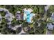 Stunning aerial view of a luxury community showcasing a unique resort-style pool and lush landscaping at 12746 Standbridge Dr, Riverview, FL 33579
