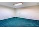 Spacious carpeted basement with neutral walls, suitable for various uses at 1914 Henley Rd, Lutz, FL 33558