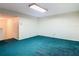 Spacious carpeted basement with neutral walls, suitable for various uses at 1914 Henley Rd, Lutz, FL 33558