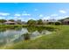 Beautiful pond view with houses, landscaping and a blue sky at 1933 Fruitridge St, Brandon, FL 33510