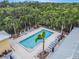 Aerial view of a community pool area with palm trees, lounge chairs, and umbrellas at 212 Shell Creek Ct, Apollo Beach, FL 33572
