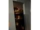 Small closet with shelving, personal items, and a blue wall at 25425 Olympia Rd, Brooksville, FL 34601