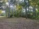 View of wooded lot with mature shade trees and bright sunlight at 25425 Olympia Rd, Brooksville, FL 34601