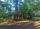 View of wooded lot with mature shade trees and a shed at 25425 Olympia Rd, Brooksville, FL 34601