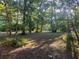 View of wooded lot with mature shade trees and bright sunlight at 25425 Olympia Rd, Brooksville, FL 34601
