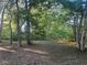 View of wooded lot with mature shade trees at 25425 Olympia Rd, Brooksville, FL 34601