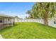 Spacious backyard with a lush lawn, white fence, and a mature palm tree, perfect for outdoor activities and relaxation at 2554 Lake Ellen Cir, Tampa, FL 33618