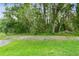 Serene backyard view featuring lush greenery and mature trees, offering privacy and a peaceful setting at 30918 Burleigh Dr, Wesley Chapel, FL 33543