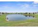 Scenic view of the tranquil pond, surrounded by well-maintained lawns and residential houses at 30936 Summer Sun Loop, Wesley Chapel, FL 33545