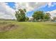 Large, fenced backyard featuring a spacious grassy area, a chain-link fence, and plenty of room for activities at 3217 Mott Rd, Dover, FL 33527