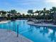 A beautiful community pool area with lounge chairs and umbrellas at 33774 Castaway Loop, Wesley Chapel, FL 33543