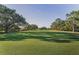 Expansive view of lush green golf course with mature trees providing shade and beauty at 395 Forest Park Rd, Oldsmar, FL 34677