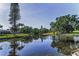 Scenic view of the serene pond and lush landscaping at 395 Forest Park Rd, Oldsmar, FL 34677
