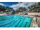 Relaxing lap swimming pool surrounded by lounge chairs and umbrellas, perfect for exercise and leisure at 395 Forest Park Rd, Oldsmar, FL 34677