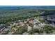 Aerial view of the home location in a lush residential neighborhood with many mature trees at 4418 River Overlook Dr, Valrico, FL 33596