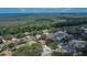 Aerial view of a residential neighborhood with lush trees and multiple homes at 4418 River Overlook Dr, Valrico, FL 33596