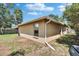 Backyard view showcasing the home's exterior with a window, surrounded by green grass at 4418 River Overlook Dr, Valrico, FL 33596