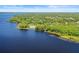 Scenic aerial shot showcasing a lakefront with lush greenery and houses nestled among the trees at 5160 Loquat Ct, Palm Harbor, FL 34685