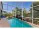 Screened-in pool area with a long swimming pool and beautiful private backyard at 892 Crestridge Cir, Tarpon Springs, FL 34688