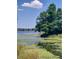 Scenic view of a tranquil lake with lush green vegetation and mature trees along the shoreline at 10142 118Th Ave, Largo, FL 33773