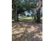 Spacious backyard with mature trees and lots of room for recreation at 10308 Fore Dr, Tampa, FL 33612