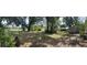 Expansive backyard featuring ample green space, mature trees and outdoor buildings at 10308 Fore Dr, Tampa, FL 33612