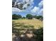 Large green backyard featuring plenty of room and beautiful trees at 10308 Fore Dr, Tampa, FL 33612