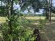 Green backyard featuring ample space and tree shade at 10308 Fore Dr, Tampa, FL 33612