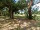 Expansive green backyard featuring mature trees for shade and enjoyment at 10308 Fore Dr, Tampa, FL 33612