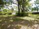 Private backyard oasis featuring mature trees and a serene setting at 10308 Fore Dr, Tampa, FL 33612