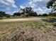 Expansive green lawn space with scattered trees and residential surroundings at 10308 Fore Dr, Tampa, FL 33612
