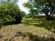 Charming single-story home with spacious front lawn and mature trees at 10308 Fore Dr, Tampa, FL 33612